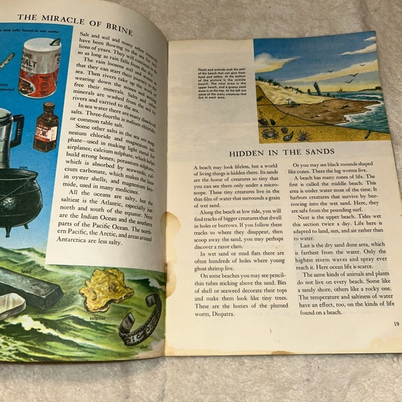 Vintage 1973 Golden Press Exploring Earth Oceanography Book, Paperback - Picture 7 of 14